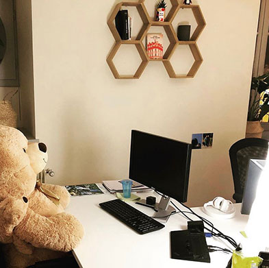 nounours